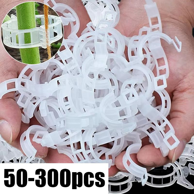 50-300PCS Plant Support Clips  - đánh giá và giá Smart Garden Hub