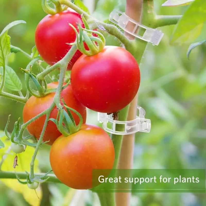 50-300PCS Plant Support Clips  - đánh giá và giá Smart Garden Hub