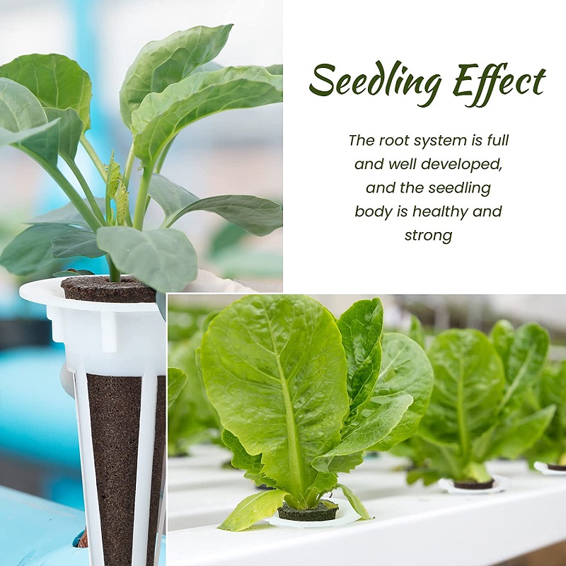15/30Pcs Hydroponic Colonizati - đánh giá và giá Smart Garden Plastic Cups