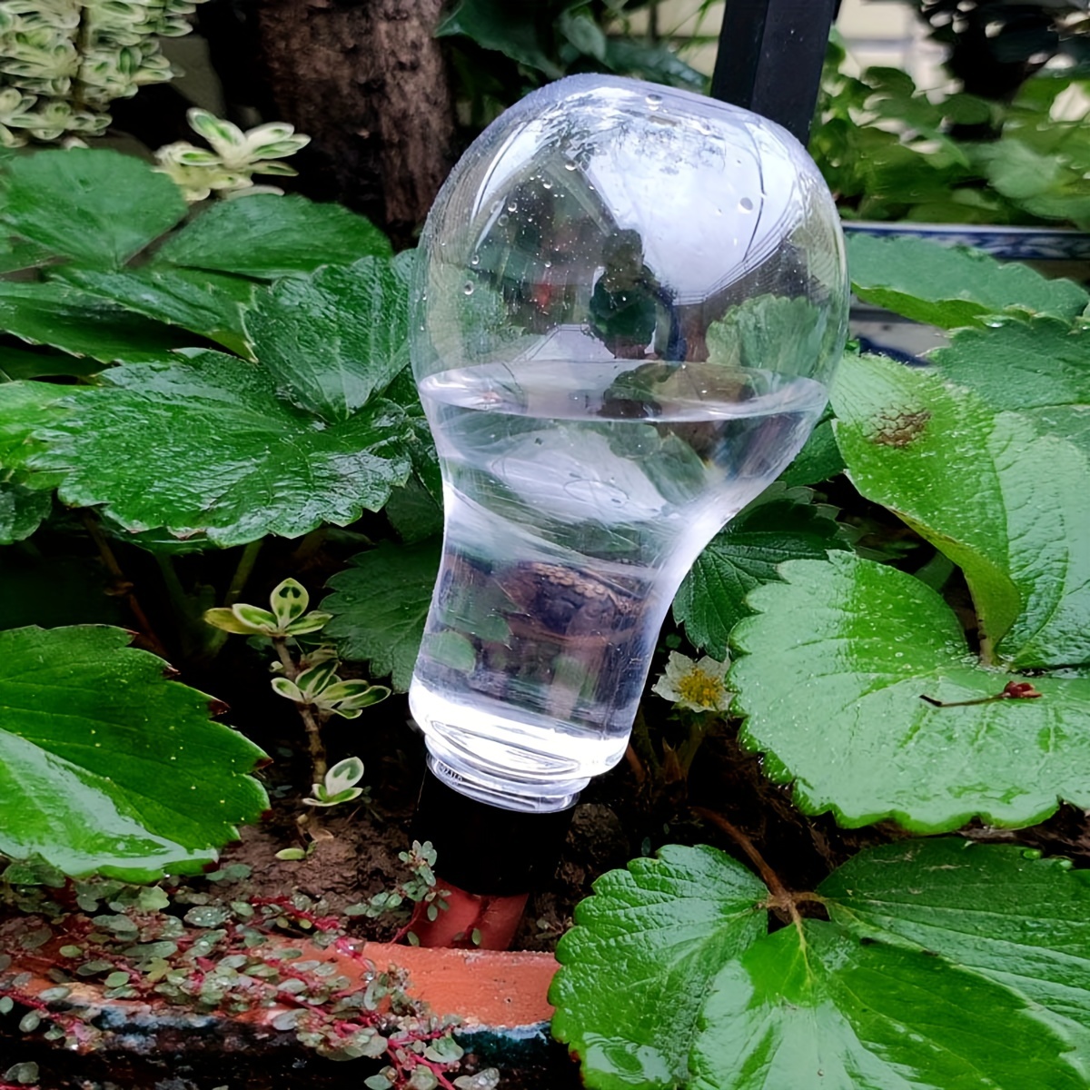 Garden Automatic Watering Tool - đánh giá và giá Smart Garden Watering