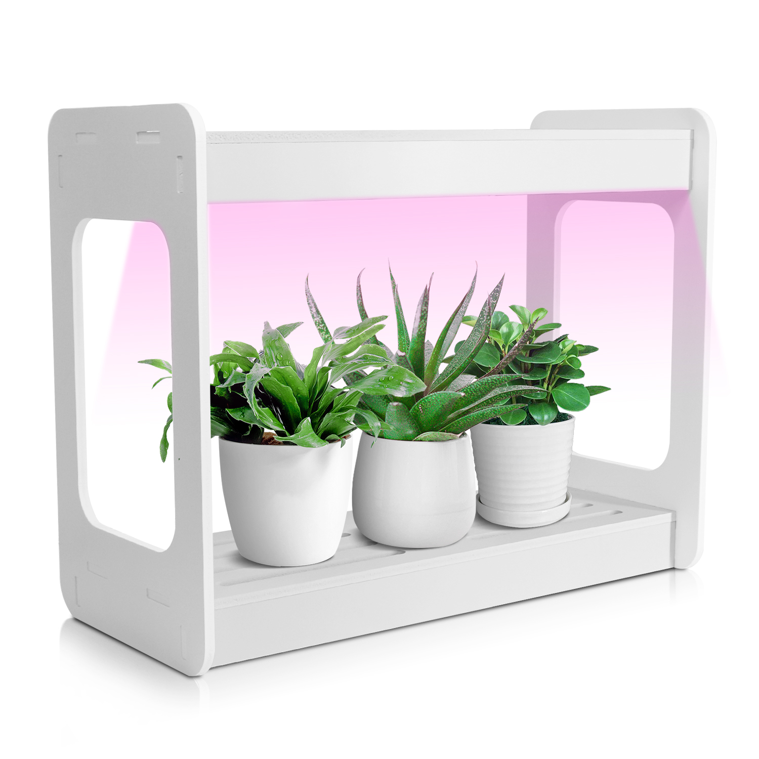 Smart Mini LED Grow Light Syst - đánh giá và giá Smart Garden Mini