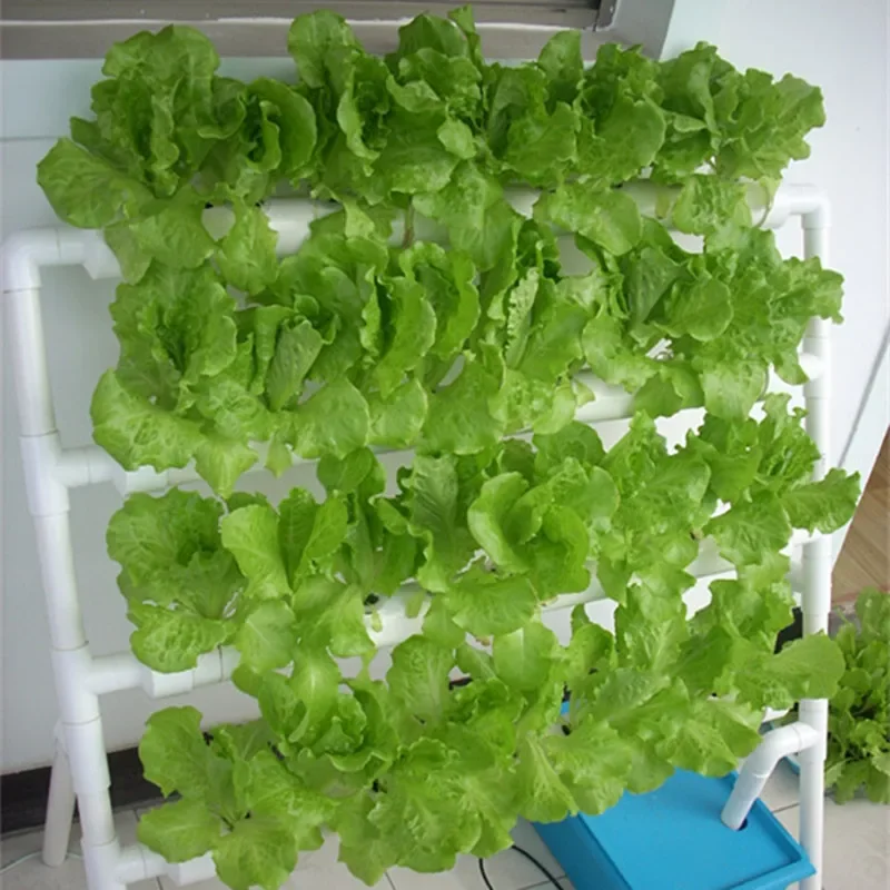 Hydroponic Grow Kit Hydroponic - đánh giá và giá Smart Garden Plastic Cups