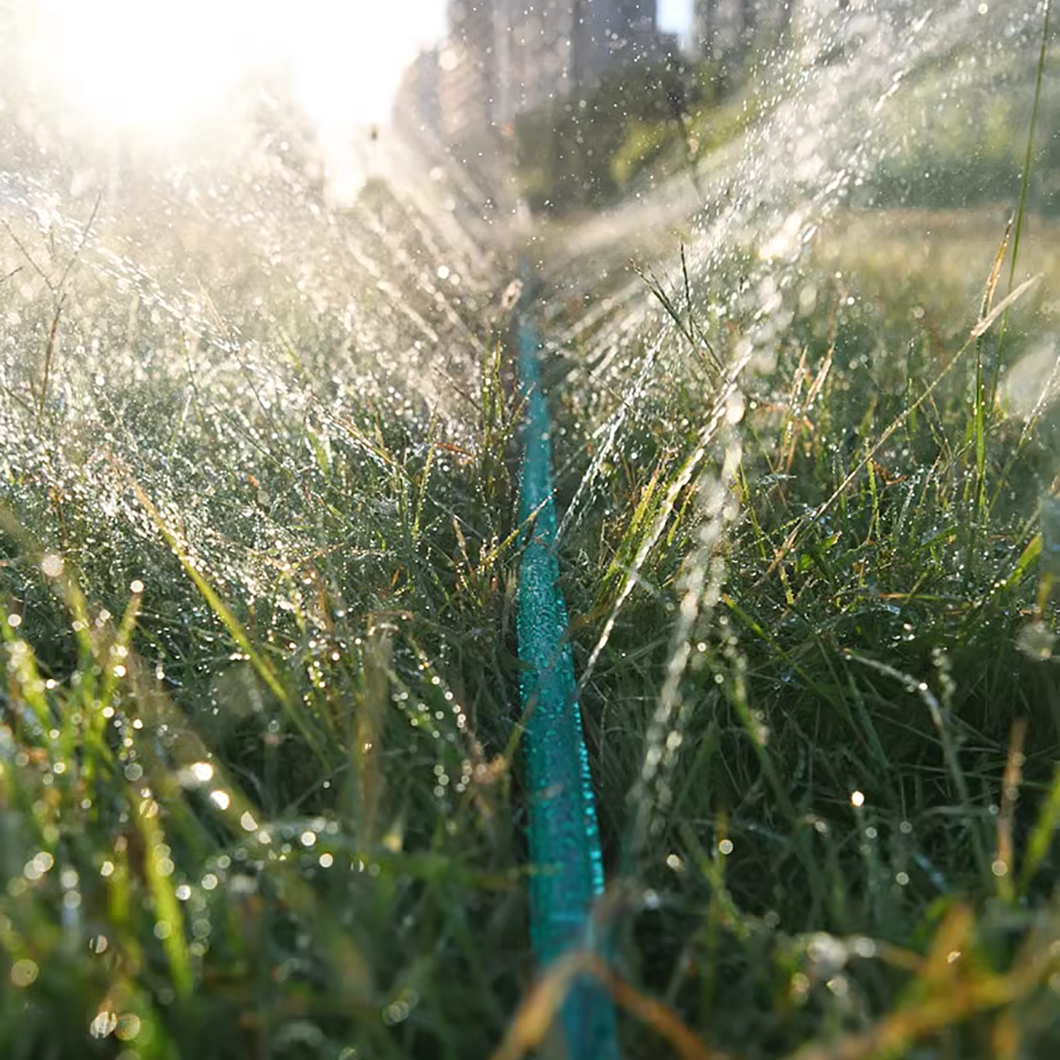 3/4.5/7.5/10/15M Porous Soaker - đánh giá và giá Smart Garden Watering