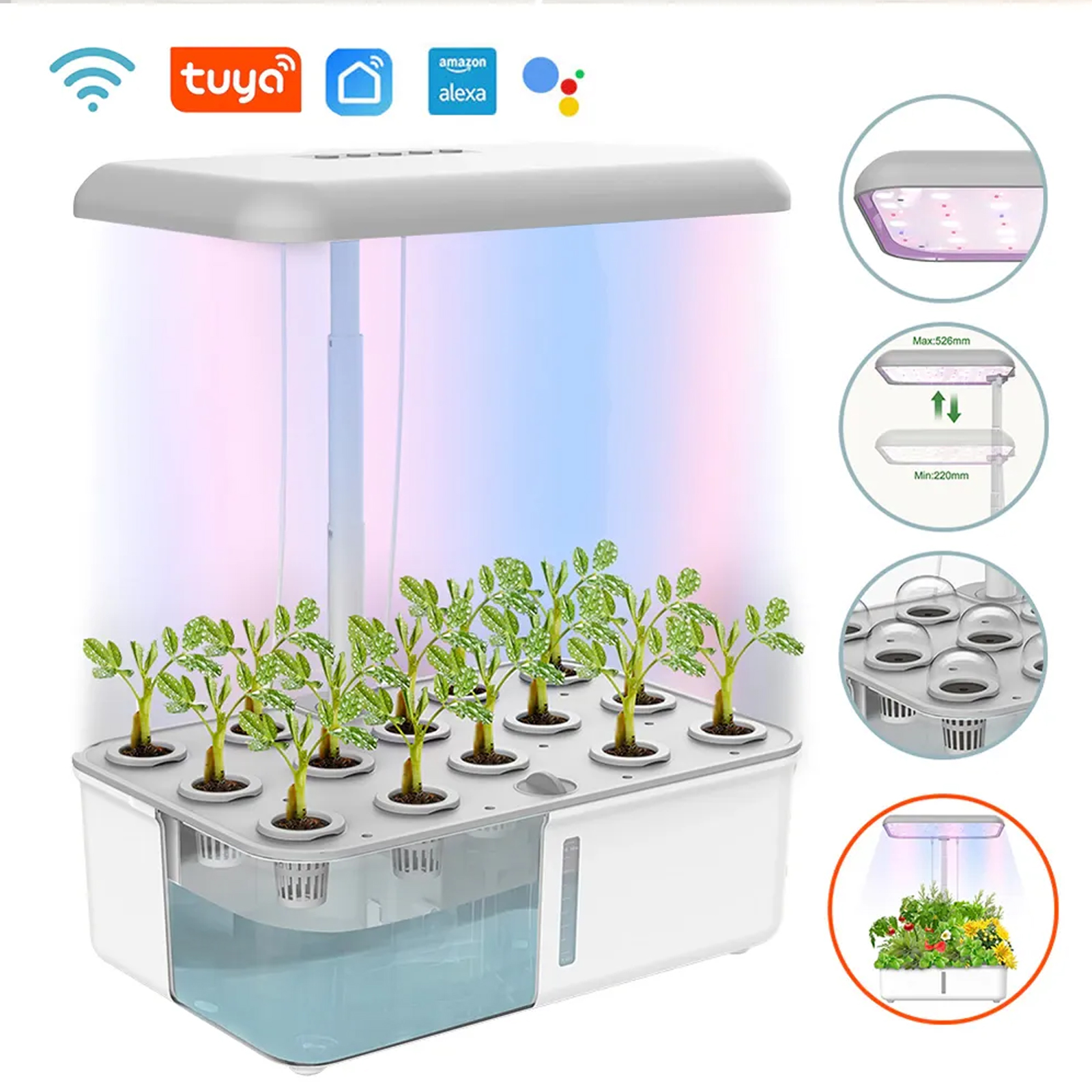 Tuya WiFi Plant Hydroponics Sy - đánh giá và giá Smart Garden Plastic Cups