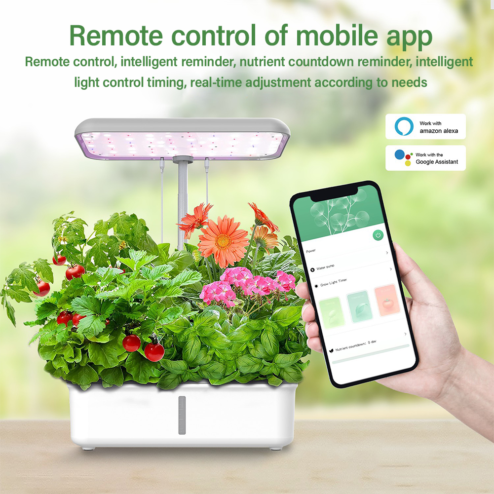 Tuya WiFi Plant Hydroponics Sy - đánh giá và giá Smart Garden Plastic Cups