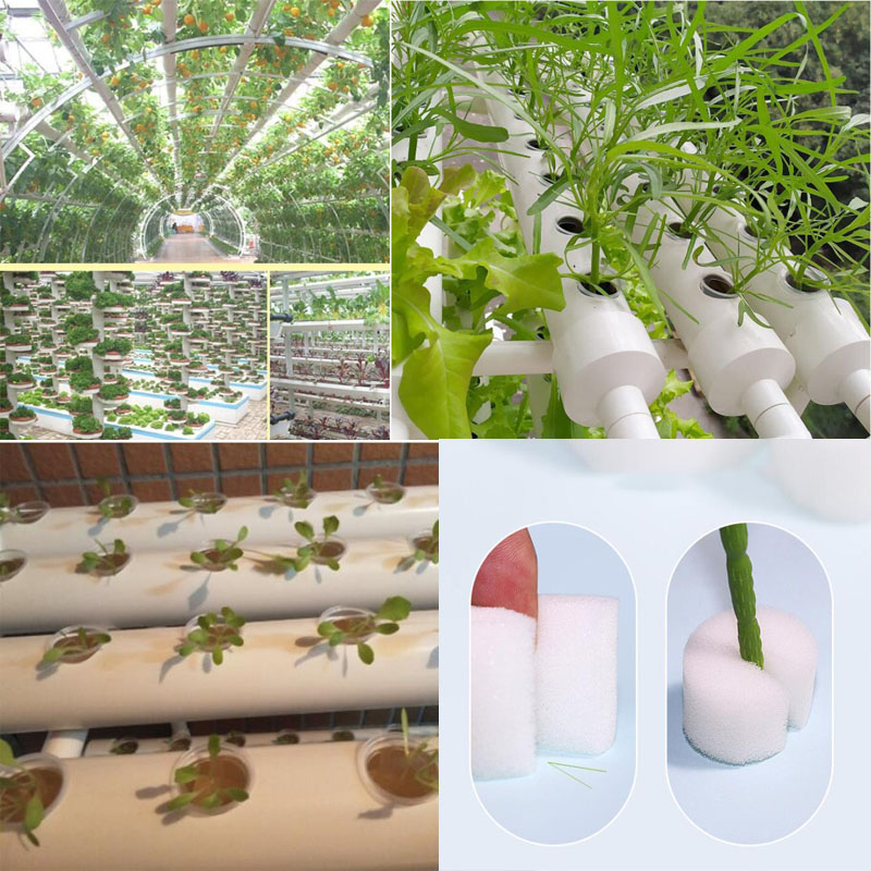 50pcs Hydroponic Soilless Mesh - đánh giá và giá Smart Garden Plastic Cups