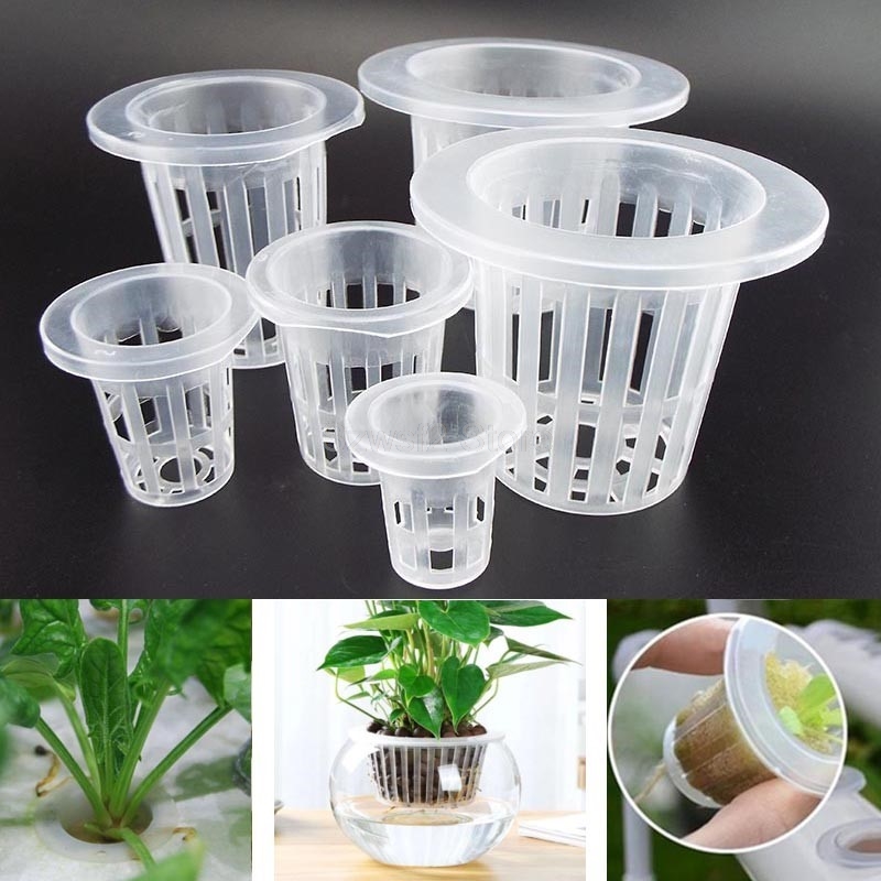 10pcs Plant Grow Net Nursery P - đánh giá và giá Smart Garden Plastic Cups