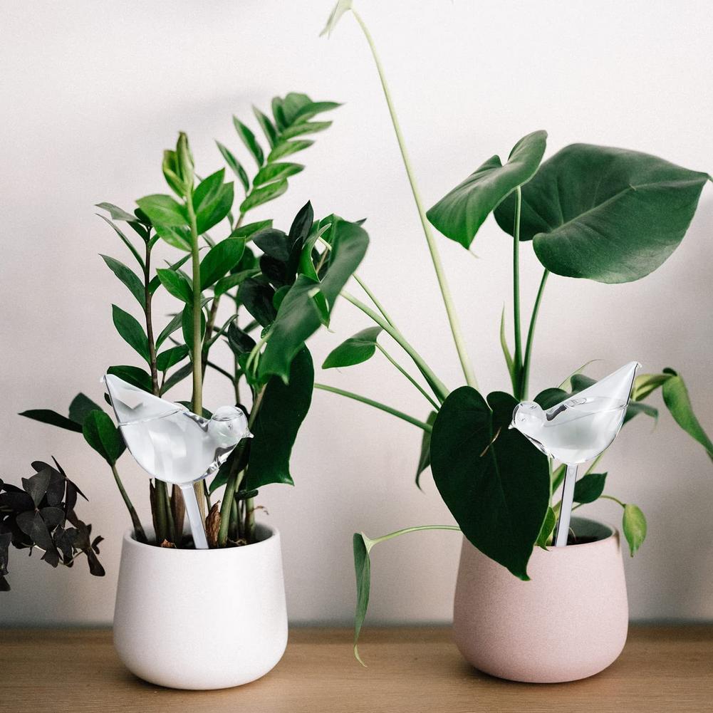 Automatic Plant Watering Bulbs - đánh giá và giá Smart Garden Watering