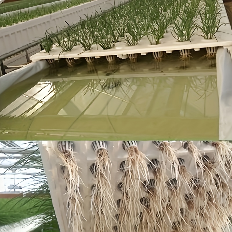 10pcs Hydroponic Seedling Bask - đánh giá và giá Smart Garden Plastic Cups