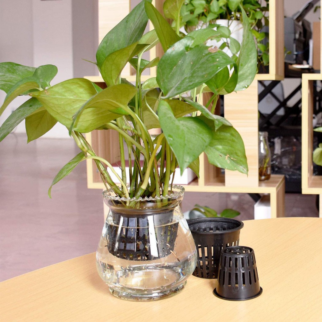 25PCS Hydroponic Pot Net Cup H - đánh giá và giá Smart Garden Plastic Cups