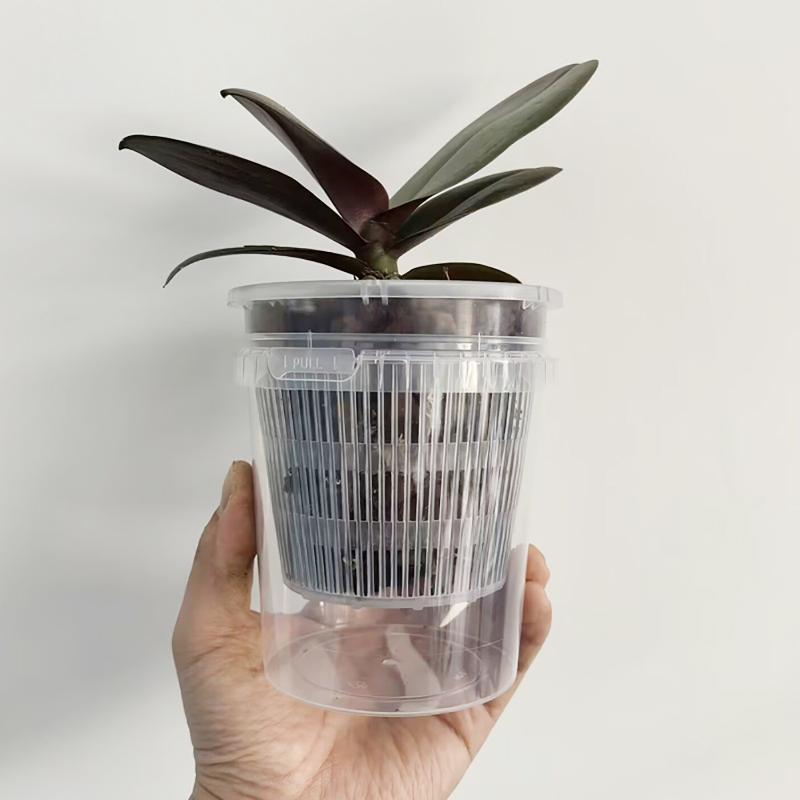 Self Watering Nursery Pots for - đánh giá và giá Smart Garden Plastic Cups