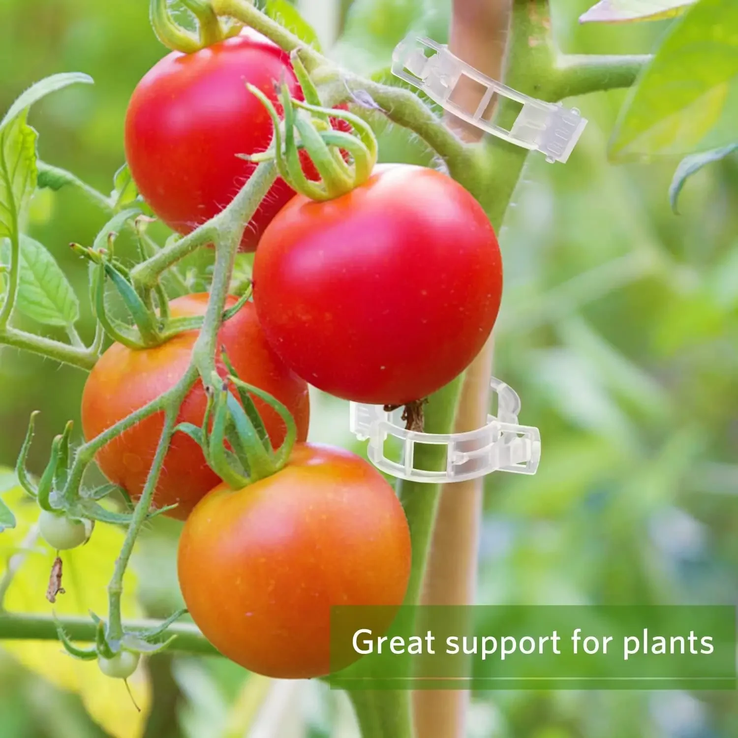 500/50PCS Plant Support Clips  - đánh giá và giá Smart Garden Hub
