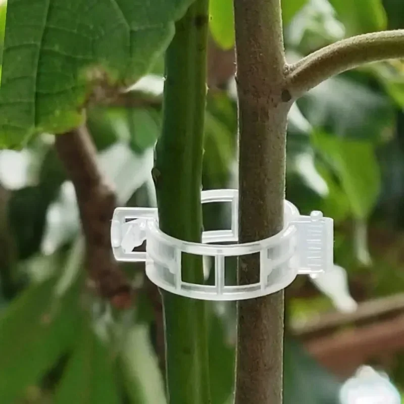 500/50PCS Plant Support Clips  - đánh giá và giá Smart Garden Hub