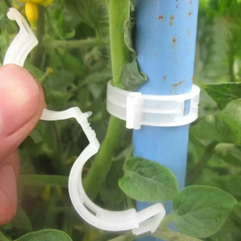 500/50PCS Plant Support Clips  - đánh giá và giá Smart Garden Hub