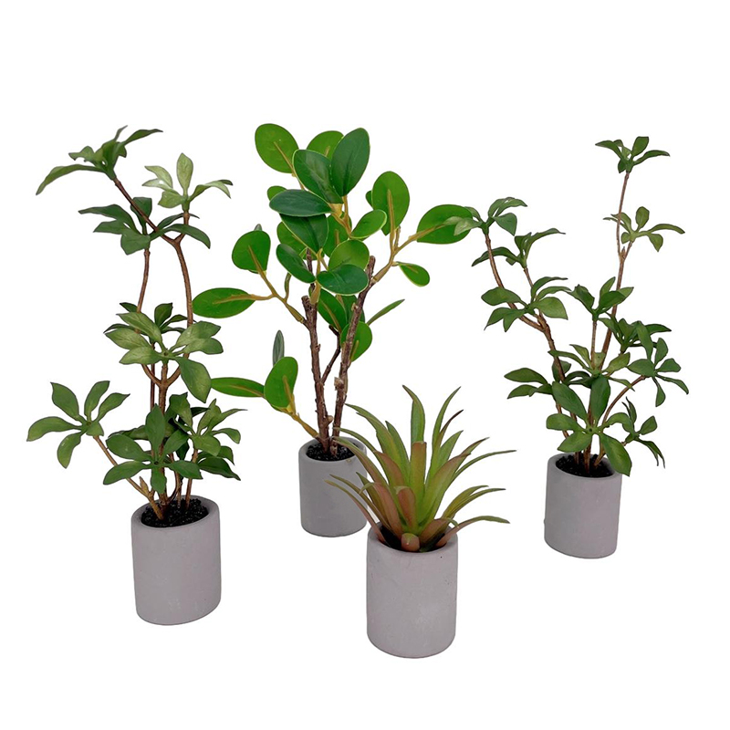 1:6 Dollhouse Miniature Potted - đánh giá và giá Smart Garden Mini