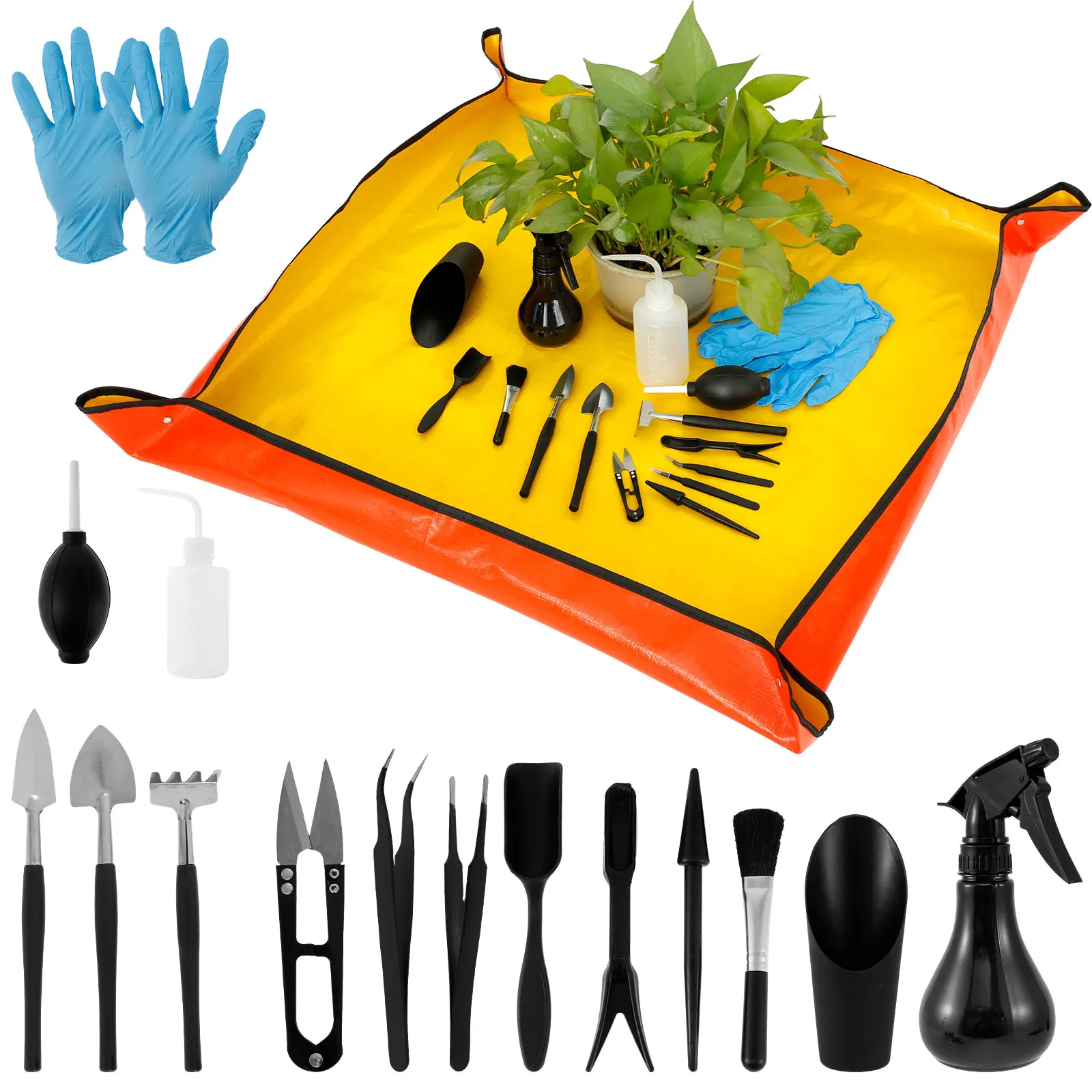 13/16Pcs Garden Succulent Plan - đánh giá và giá Smart Garden Mini