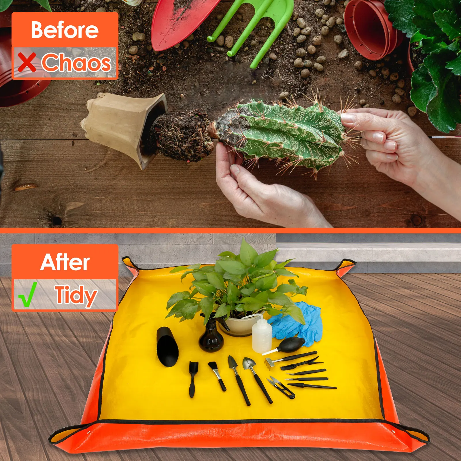 13/16Pcs Garden Succulent Plan - đánh giá và giá Smart Garden Mini