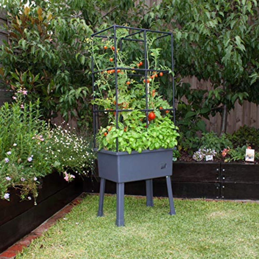 Hydroponic Tower with Trellis  - đánh giá và giá Vertical Planter Tower
