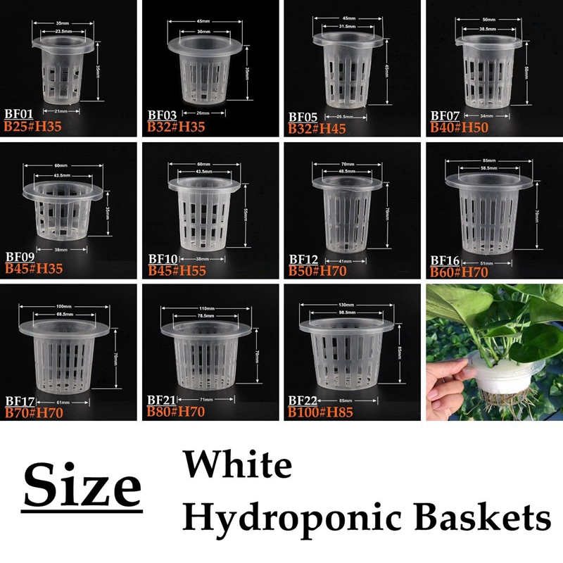 10Pcs White Hydroponic Soilles - đánh giá và giá Smart Garden Plastic Cups