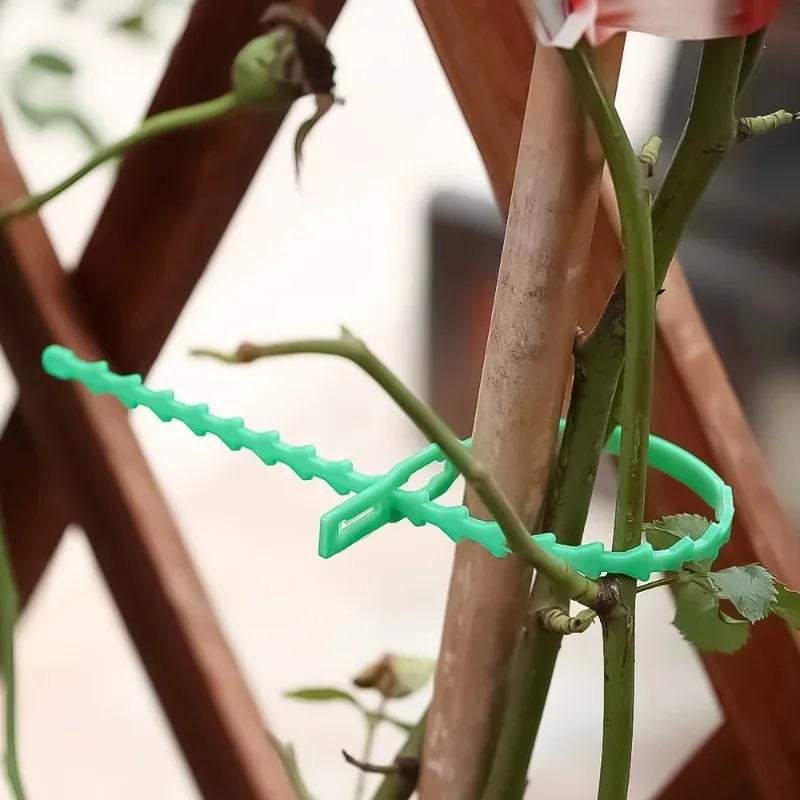 Reusable Garden Cable Ties Pla - đánh giá và giá Smart Garden Storage