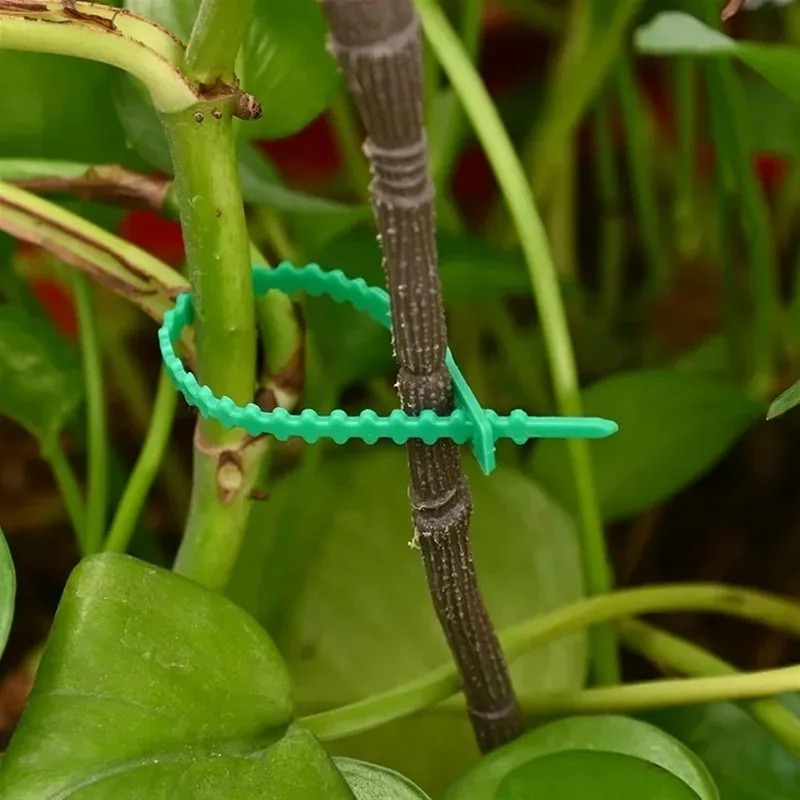 Reusable Garden Cable Ties Pla - đánh giá và giá Smart Garden Storage