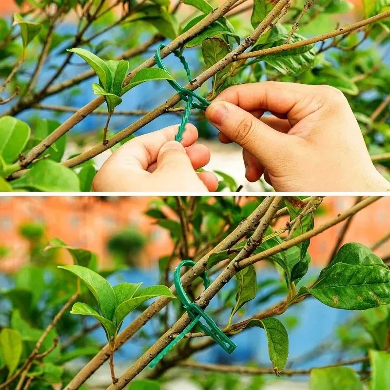 Reusable Garden Cable Ties Pla - đánh giá và giá Smart Garden Storage