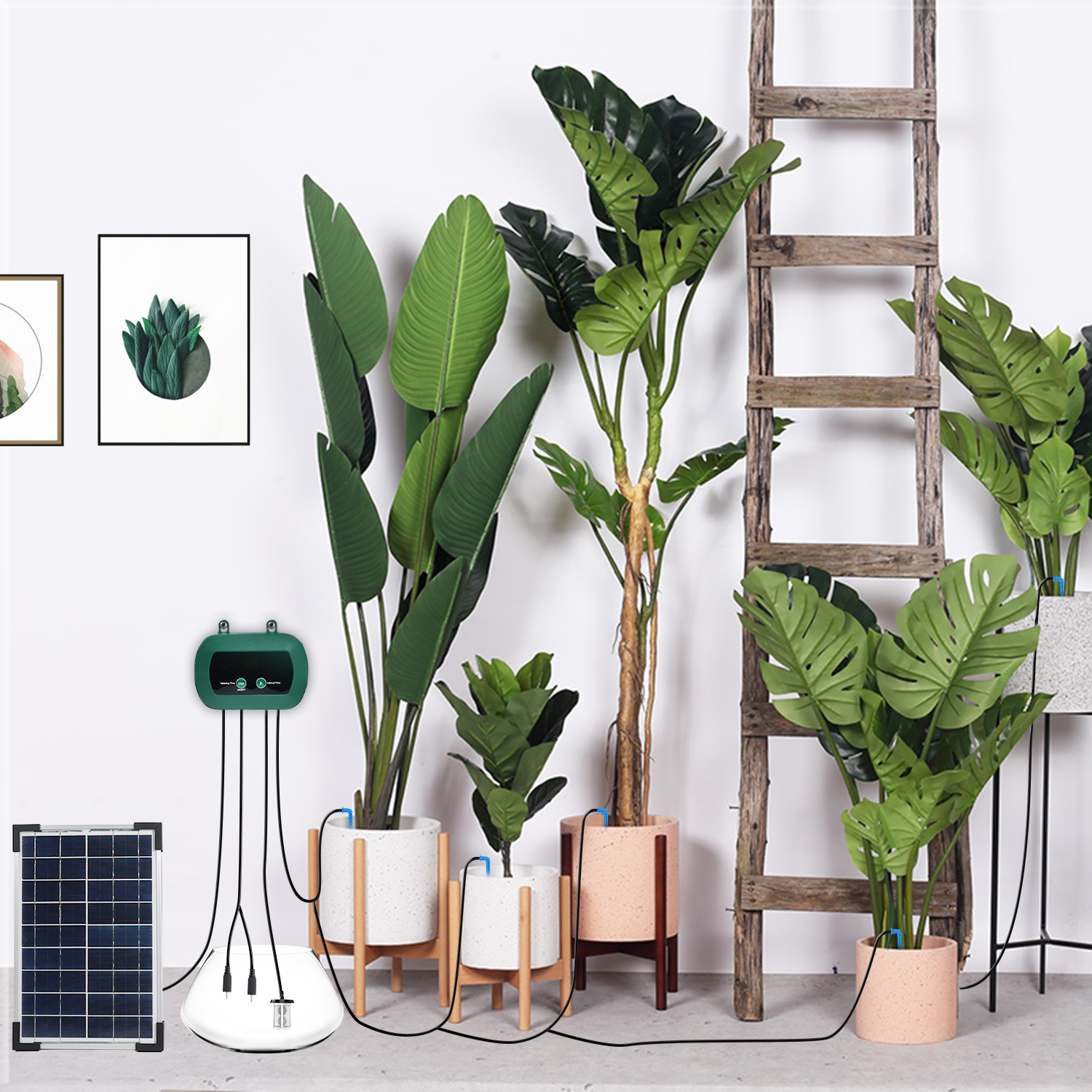 Solar Hydroponics Equipment  M - đánh giá và giá Smart Garden Watering