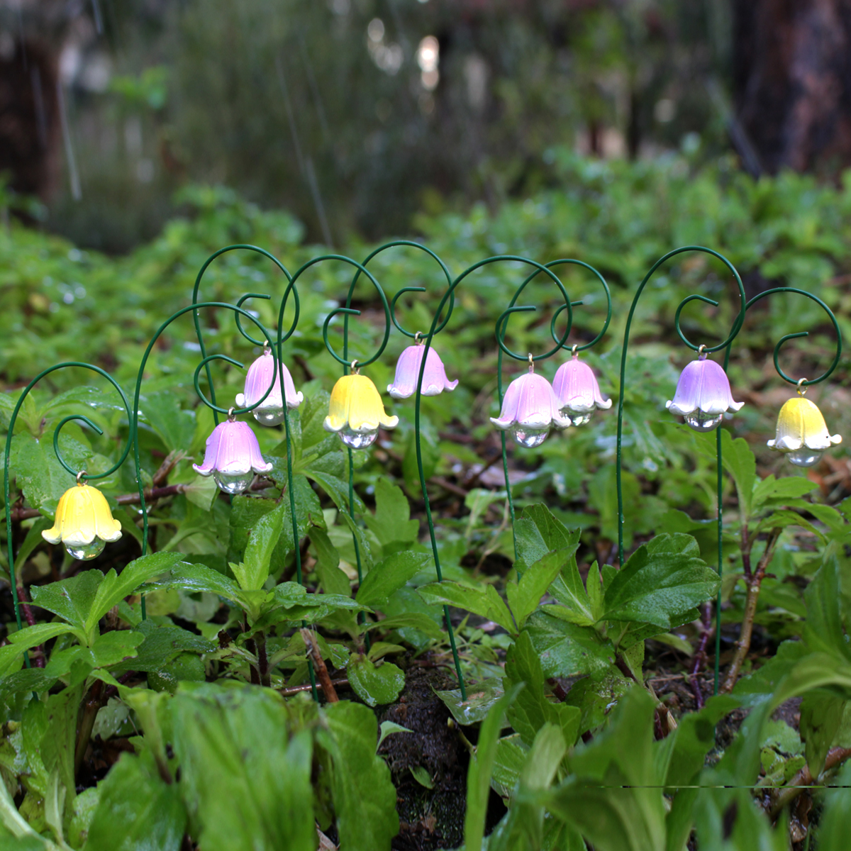 9pcs,Lily Of The Valley That W - đánh giá và giá Smart Garden Mini