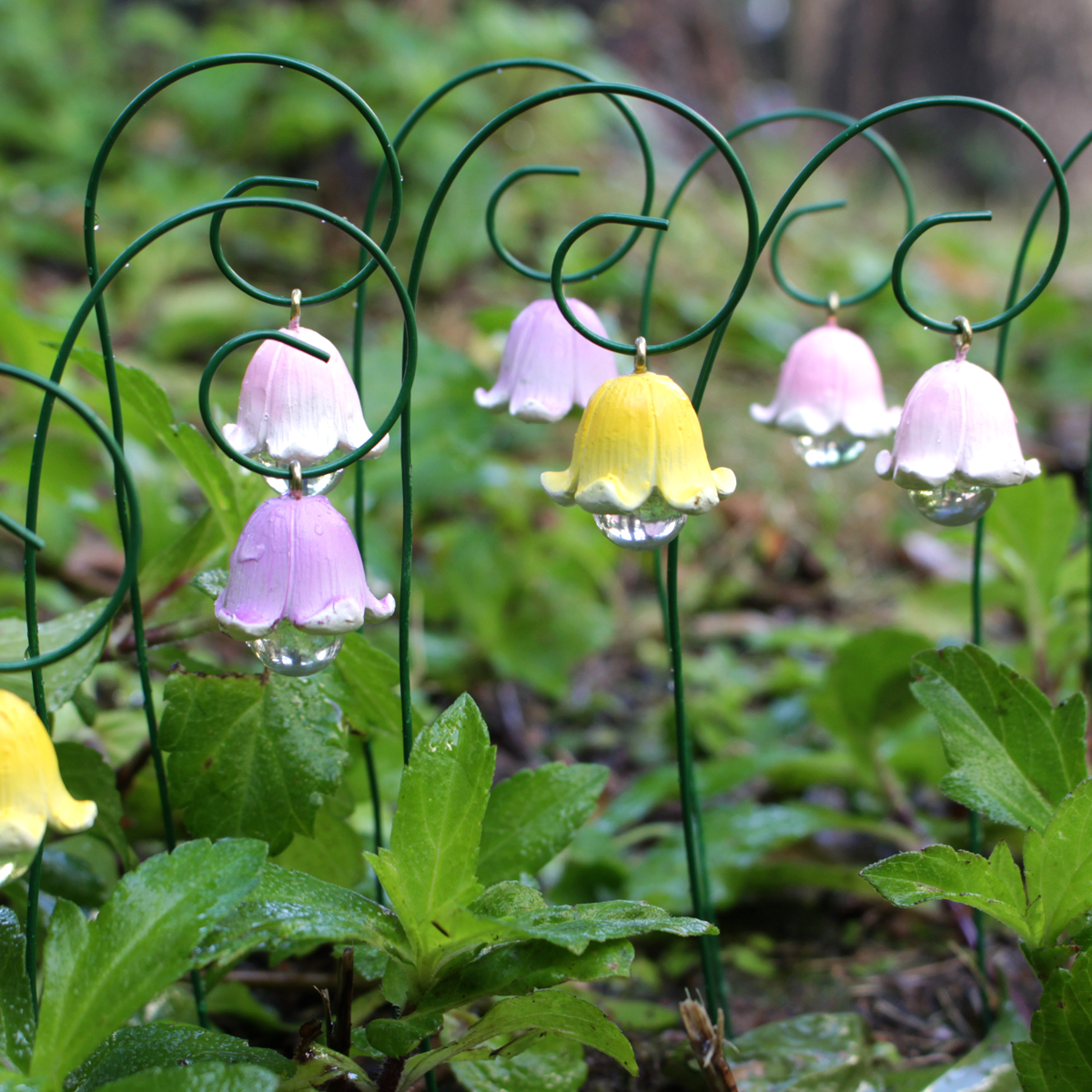 9pcs,Lily Of The Valley That W - đánh giá và giá Smart Garden Mini