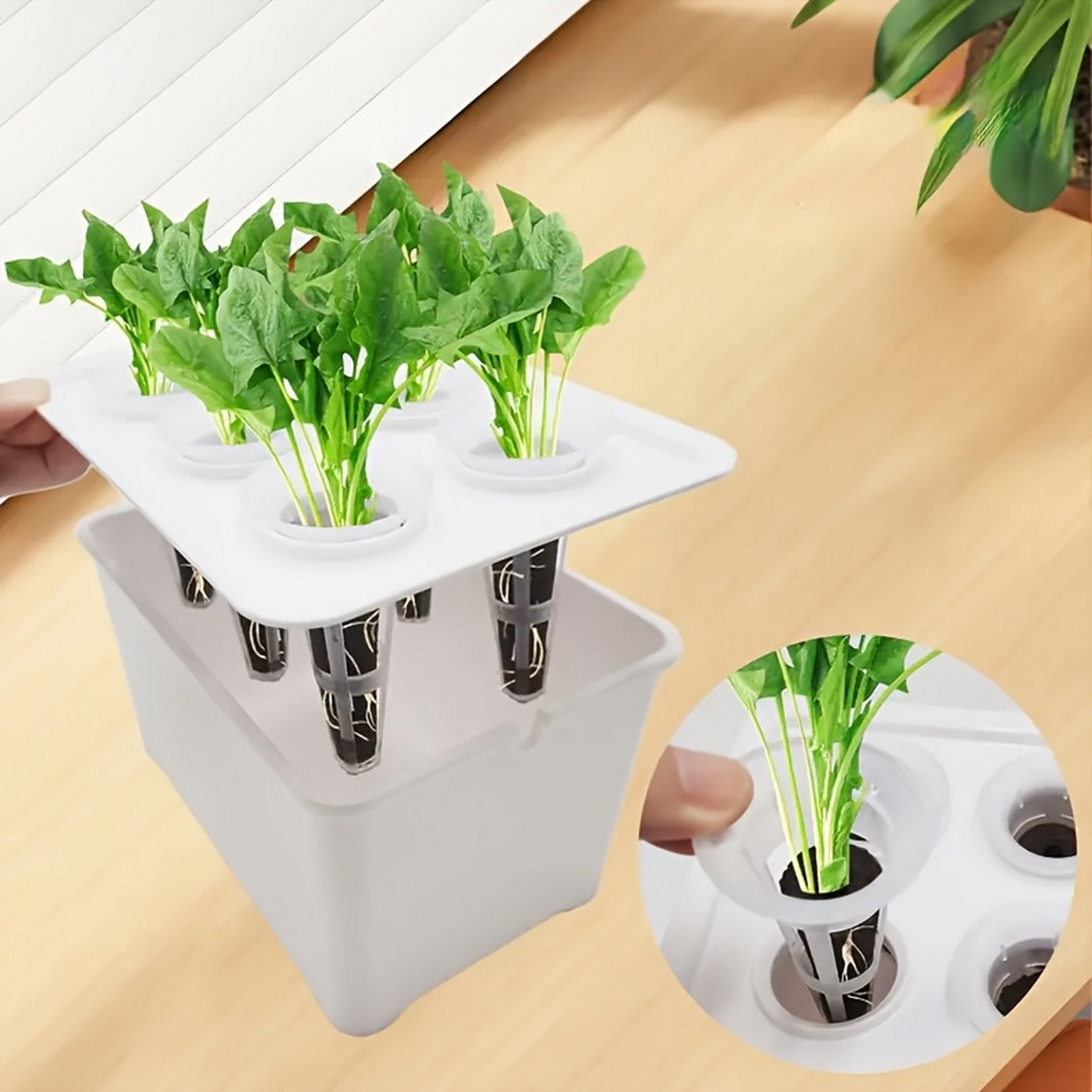 Professional Hydroponic Grower - đánh giá và giá Smart Garden Plastic Cups
