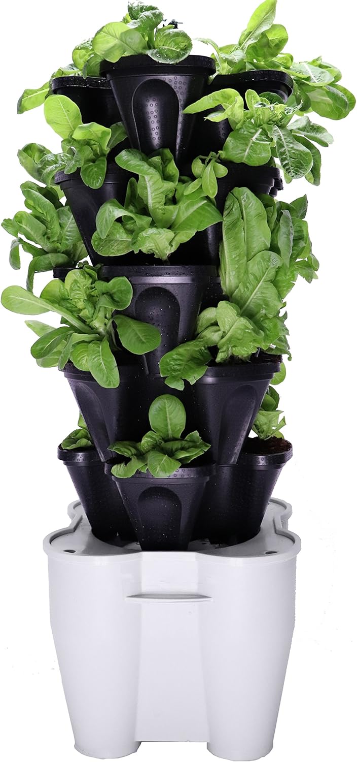 Smart Farm Automatic Self Wate - đánh giá và giá Smart Garden Watering